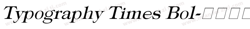 Typography Times Bol字体转换